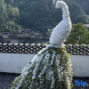 Отель Yuechuang Banshandu Homestay, фото 5