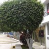 Отель La Casa de Chepita, фото 1