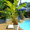 Отель Open Mind Samui Naturist Resort - Adults Only, фото 4