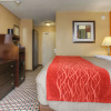Отель Quality Inn & Suites, фото 9