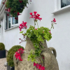Отель Toppesfield House B&B, фото 7