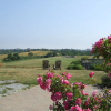 Отель Rose Farm Inn, фото 23