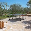 Отель Charming Holiday Home With Pool, Jacuzzi and Privacy in the Middle of an Olive Grove, фото 12