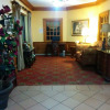 Отель Selma Hotel, фото 13