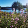 Отель Ellas Bed & Breakfast, фото 15