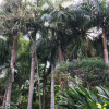 Отель Quinta Das Palmeiras, фото 15