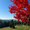 Отель Arjuna Ridge Bed and Breakfast, фото 19