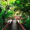 Отель Dao Anh Khanh Treehouse, фото 21