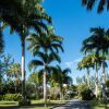 Отель Coral Reef Club, фото 15