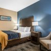 Отель Comfort Inn Cleveland Airport, фото 4