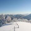 Отель Ebners Wohlfühlhotel Gasthof Hintersee, фото 27