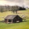 Отель Chestnut Barn, Bourton On The Water, фото 2