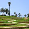 Отель Apartment Porcelaine, 3BR, Tel Aviv, Jaffa, Hatsforfim St, #Y1, фото 24