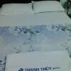 Отель Thanh Thuy Hotel, фото 15