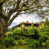 Отель Casa Matilde, фото 3