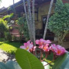 Отель Bayu Mantra Bungalows, фото 5