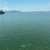 Отель halong marina bay cruise, фото 16