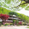 Отель Gapyeong Flora Pension, фото 1