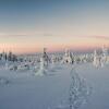 Отель Lapland Hotels Pallas, фото 15