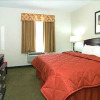 Отель Comfort Inn Rockdale-Tx, фото 2