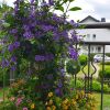 Отель Solitary Apartment in Bdefeld With Garden and Terrace, фото 3