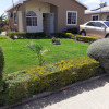 Отель Charming 2-bed House in Portmore Gated Community, фото 9