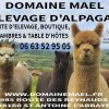 Отель Alpagas Du Domaine Mael, фото 21
