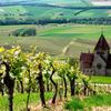 Отель Hofgut Wißberg - Das Weinberghotel, фото 6