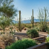 Отель Saguaro By Avantstay Secluded Desert Oasis W Pool And Spa, фото 28