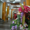 Отель Royal Hotel, фото 8