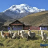 Отель Chimborazo Lodge By Rotamundos, фото 17
