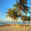 Отель Key Lime Pie by Avantstay Ideal Location w/ Splash Pool & Out Door Dining Month Long Stays Only, фото 10