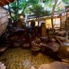 Отель Ryokan Ohnuma, фото 4