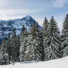 Отель Chalet Lecocq, фото 19