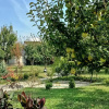Отель Sapanca Green Dome, фото 8