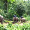 Отель Mahout Hotel, фото 30