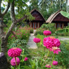 Отель Kubu Artha Bungalow Nusa Penida, фото 25