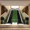 Отель Vienna International Hotel (Binjiang of Jiangjin, Chongqing), фото 1