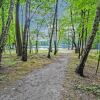 Отель Welcoming Chalet in Rekem Tucked in Nature, фото 35