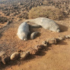 Отель Irent Fuerteventura Avda Juan Carlos, фото 33
