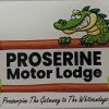 Отель Proserpine Motor Lodge, фото 21