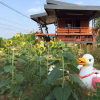 Отель Romsiri Resort, фото 7