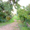 Отель House With 2 Bedrooms in Porto Taverna, With Wonderful sea View and Terrace - 10 m From the Beach, фото 15