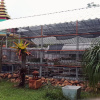 Отель Viengkaew Resort, фото 2
