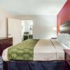 Отель Econo Lodge Lanett, фото 4