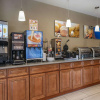 Отель Comfort Inn Romeoville - Bolingbrook, фото 23