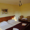 Отель Penzion 77 - Garni, фото 6