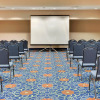 Отель Holiday Inn Express Hotel & Suites Detroit-Novi, an IHG Hotel, фото 13