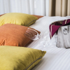 Отель Marshal Hotel Garni, фото 5