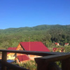 Отель Casa De Vacanta Neagu, фото 14